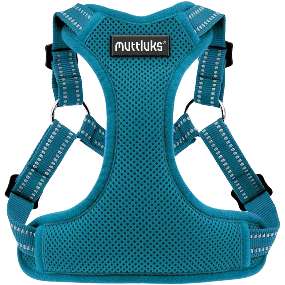 Muttluks teal dog harness with reflective stripes and mesh padding