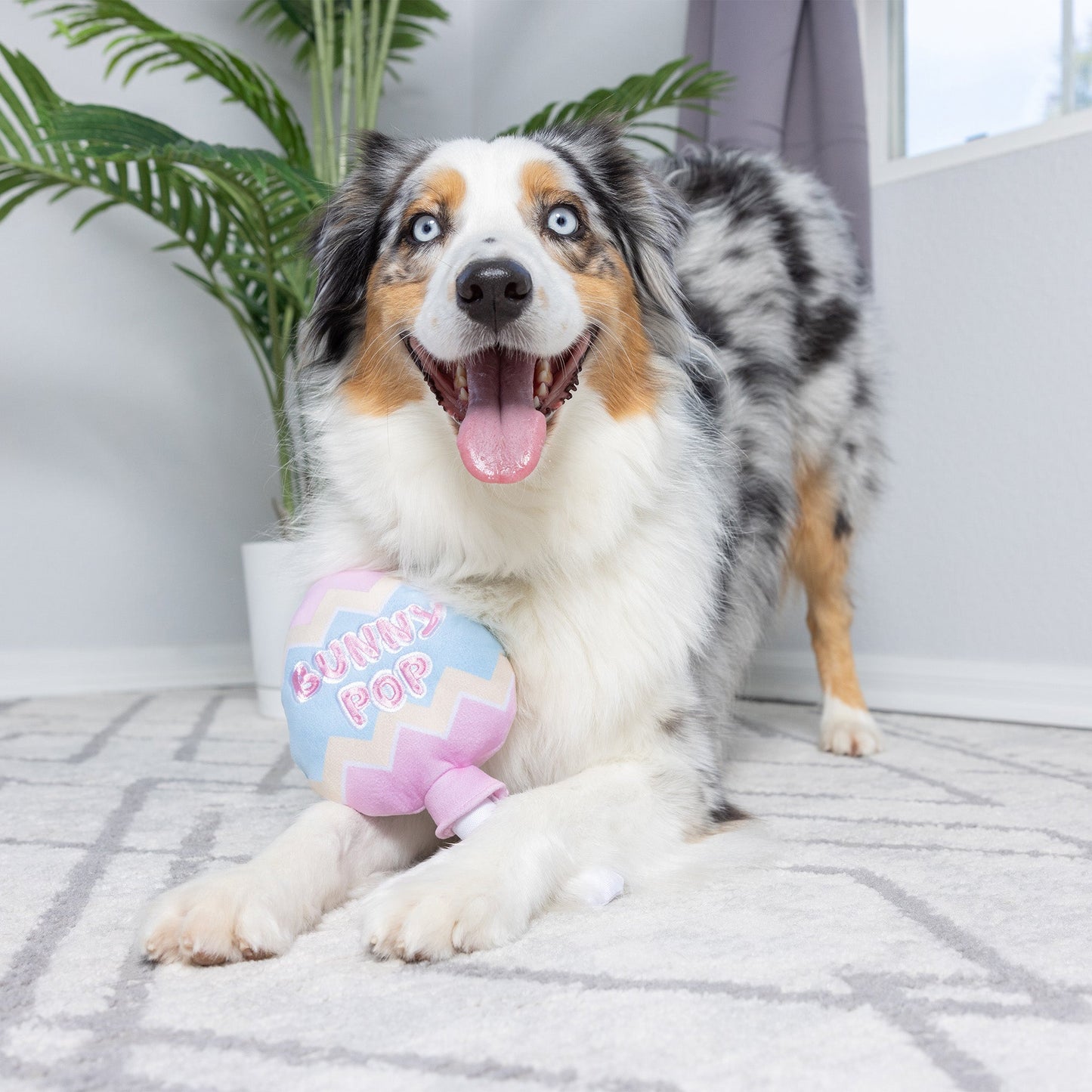 Bunny Pop Dog Toy