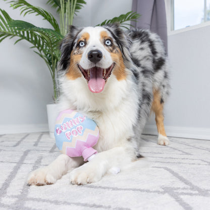 Bunny Pop Dog Toy