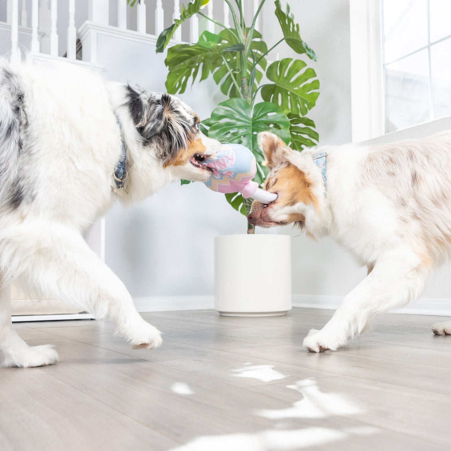 Bunny Pop Dog Toy