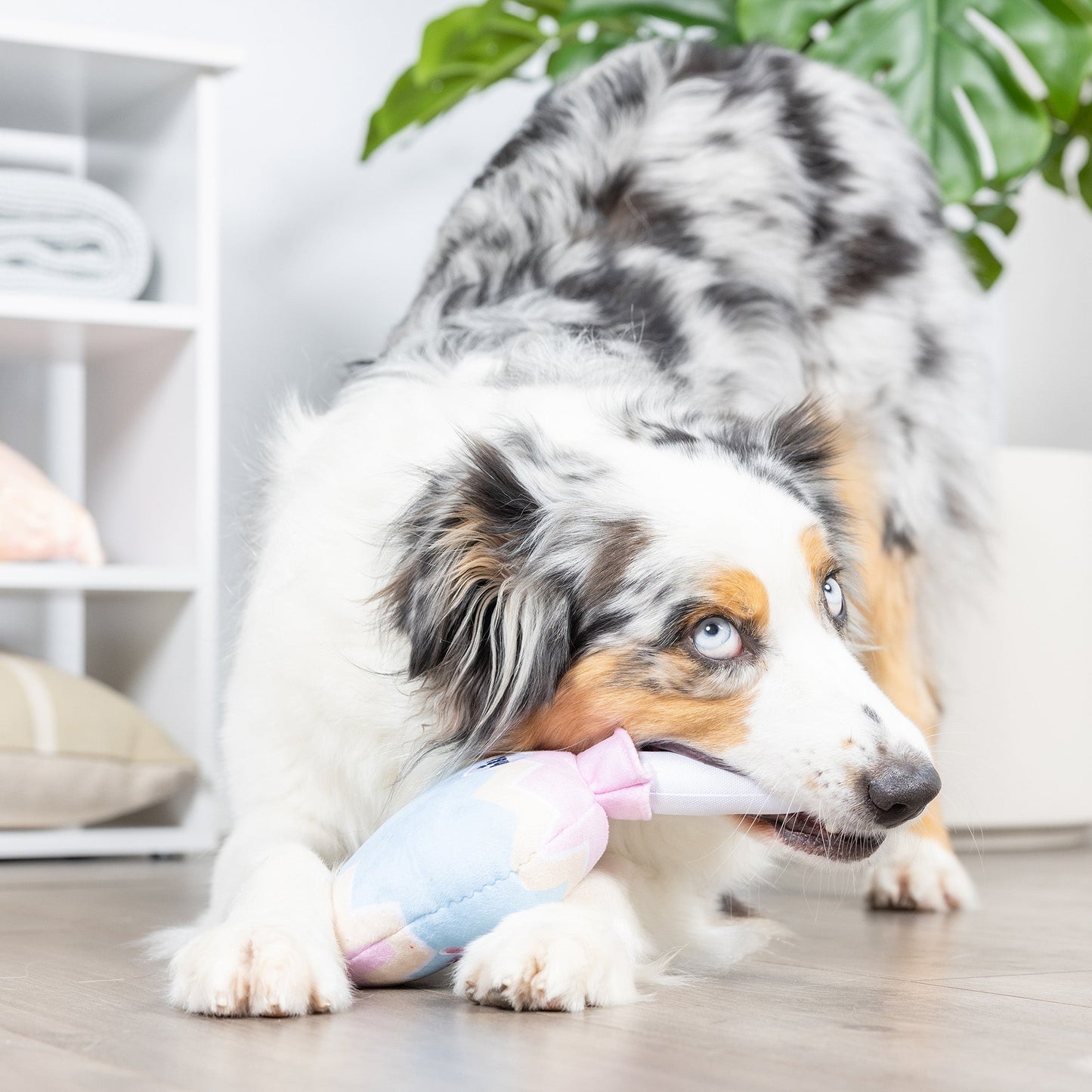 Bunny Pop Dog Toy