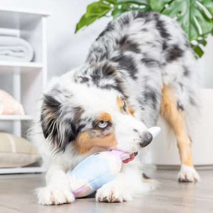 Bunny Pop Dog Toy