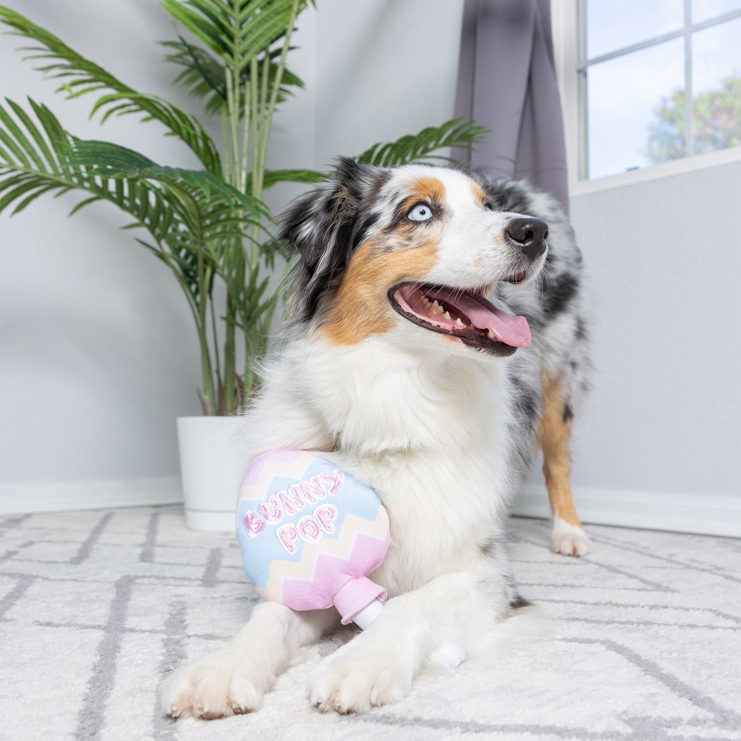 Bunny Pop Dog Toy