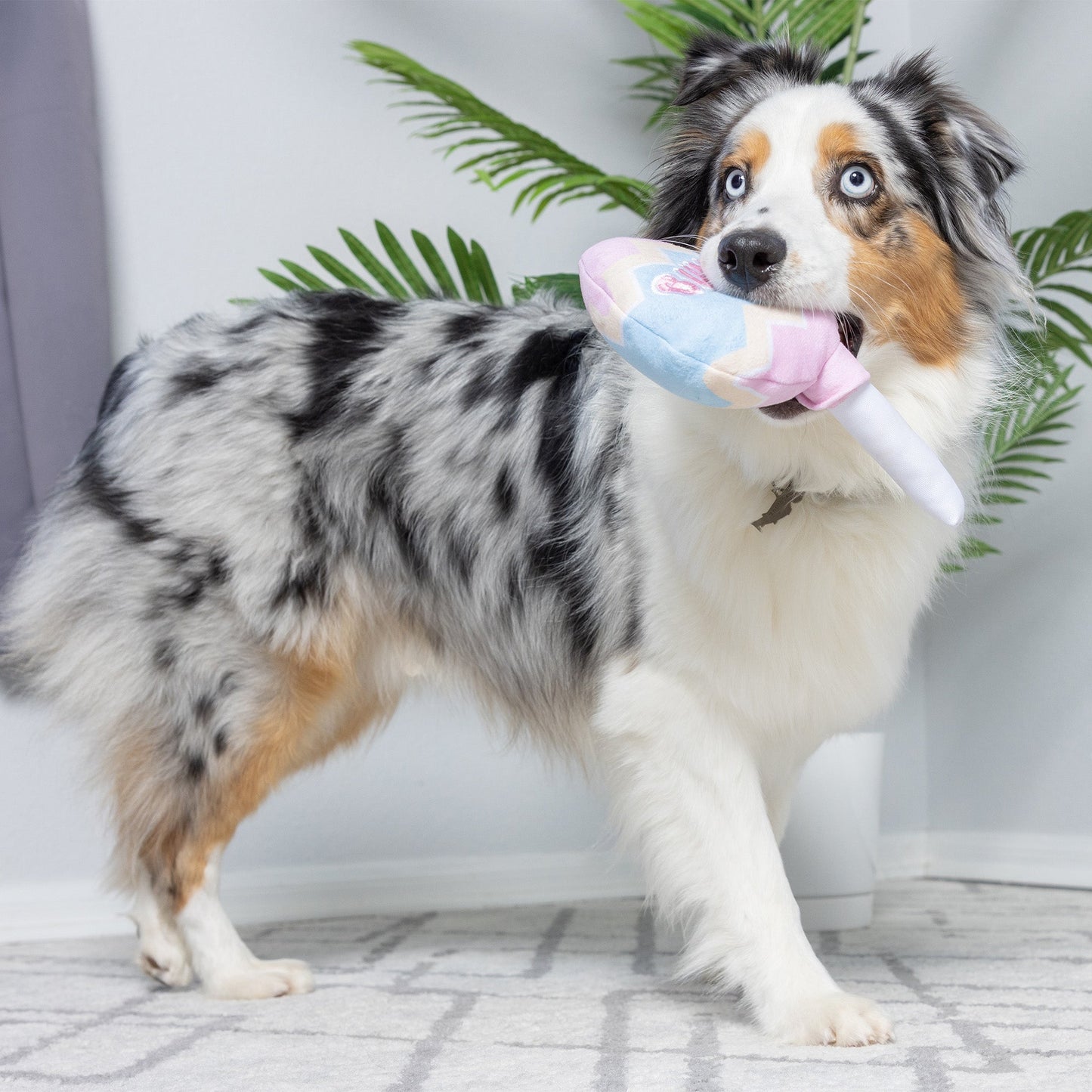 Bunny Pop Dog Toy