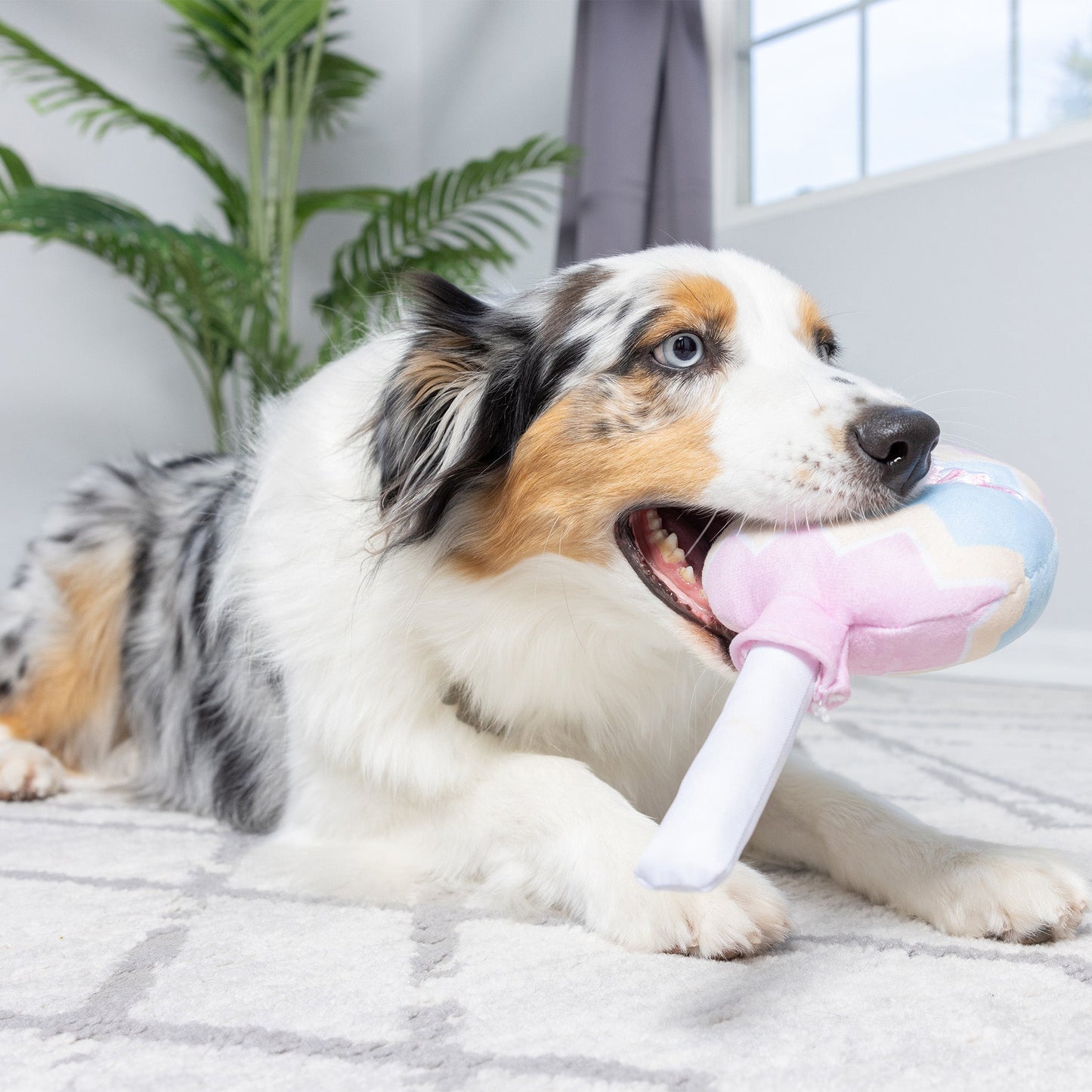 Bunny Pop Dog Toy