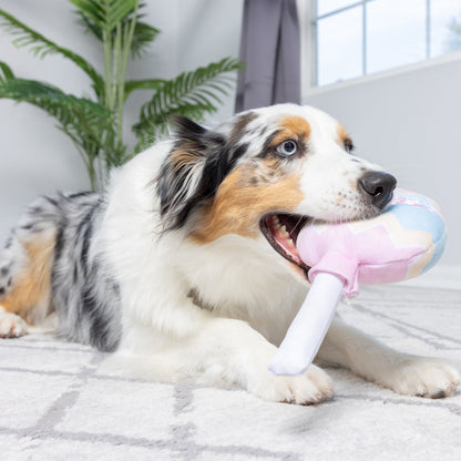 Bunny Pop Dog Toy
