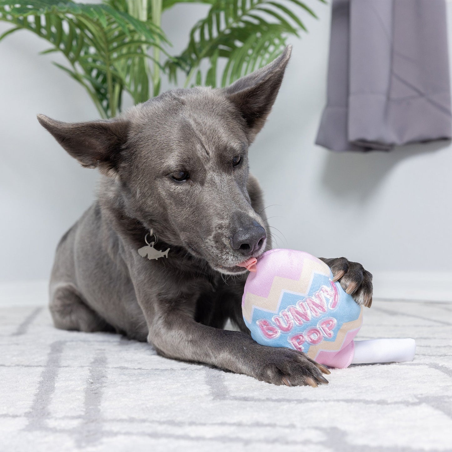 Bunny Pop Dog Toy
