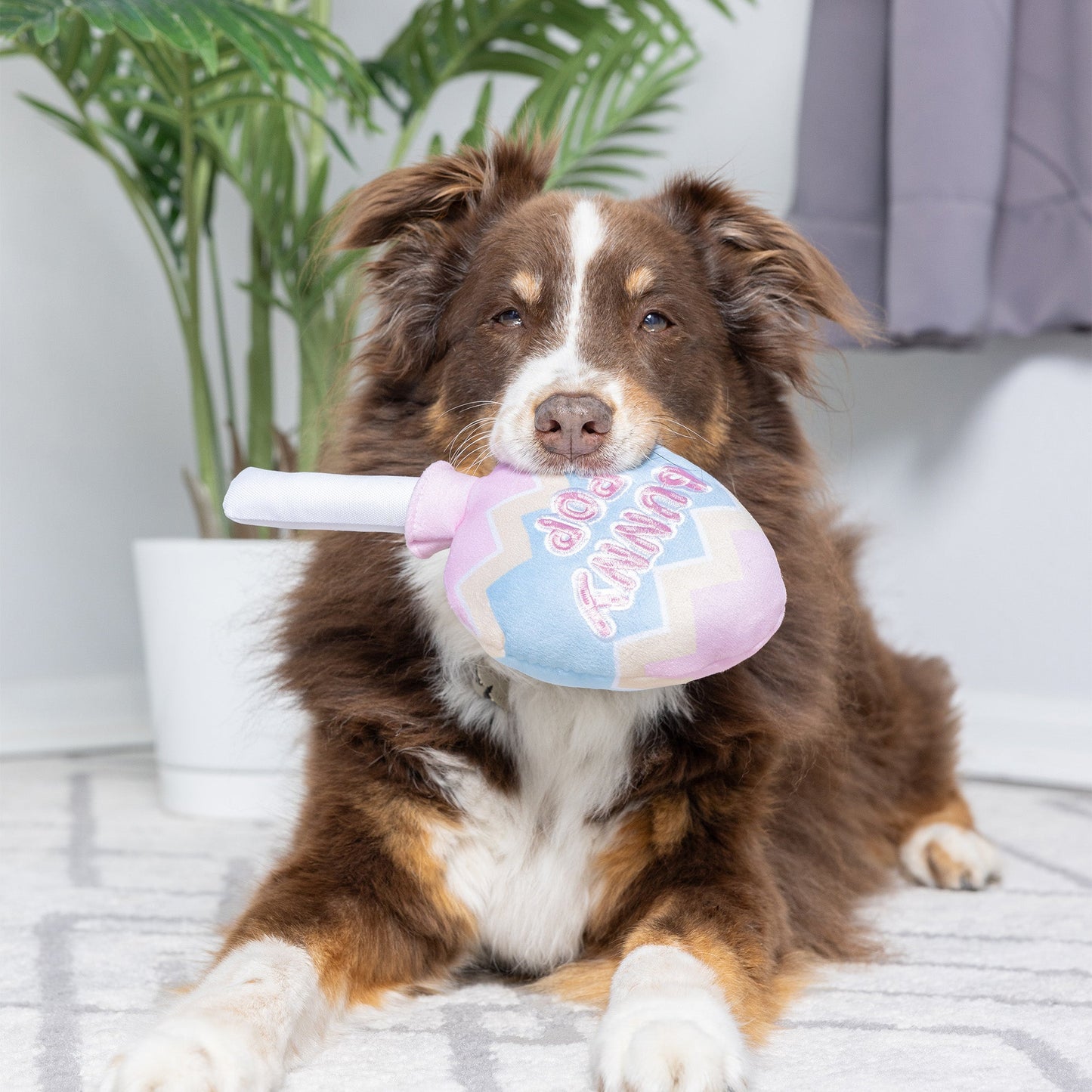 Bunny Pop Dog Toy