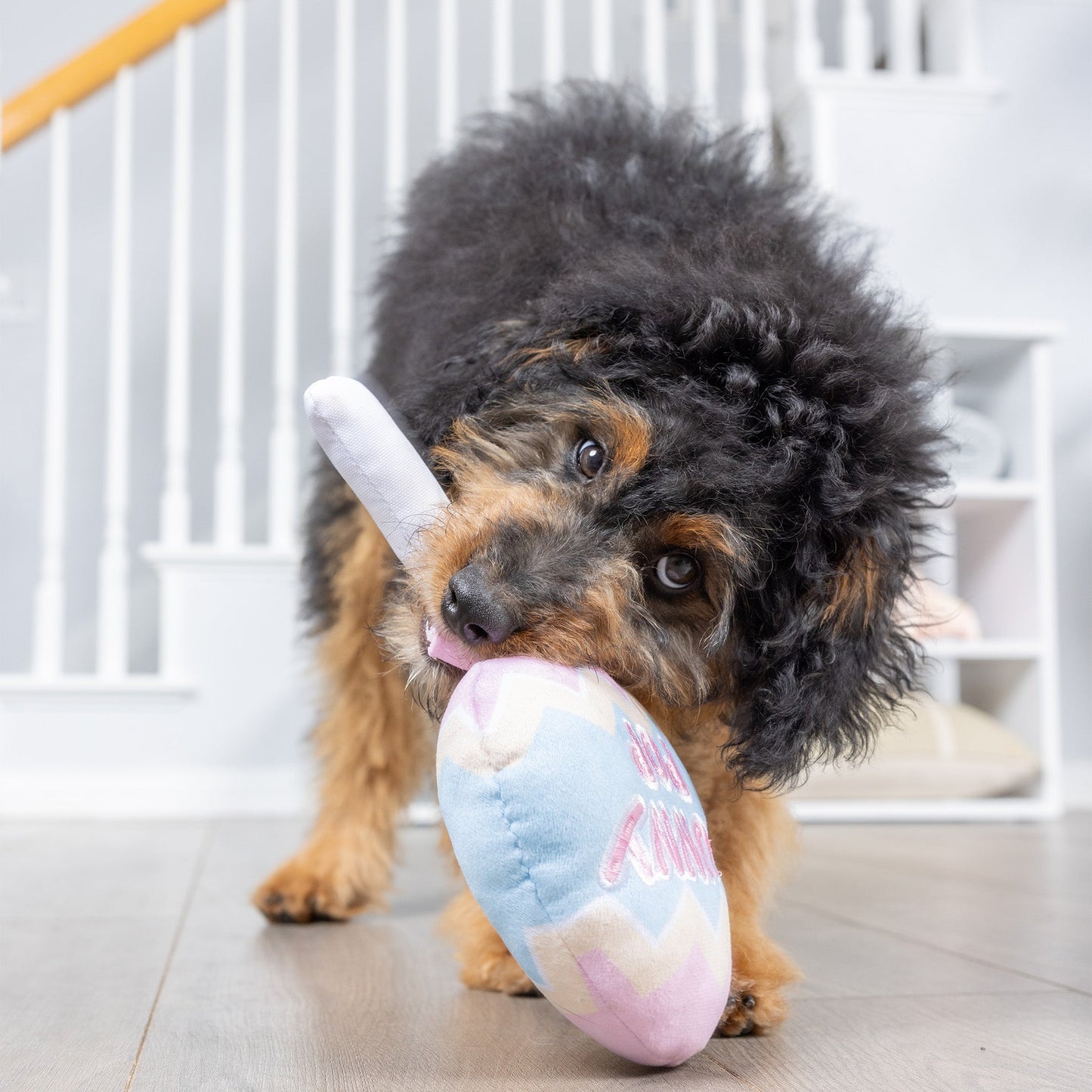 Bunny Pop Dog Toy