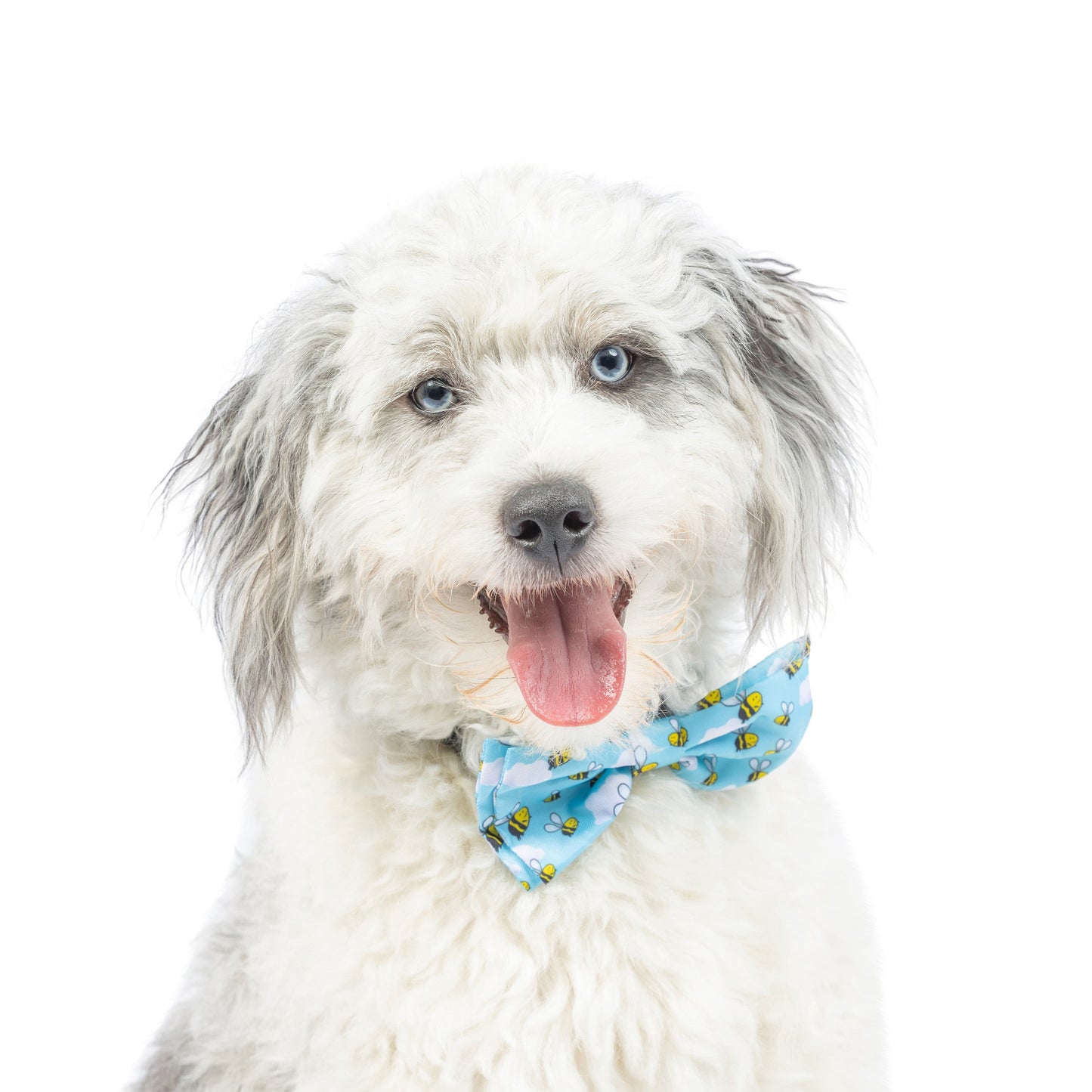 Busy Bees Bow Tie