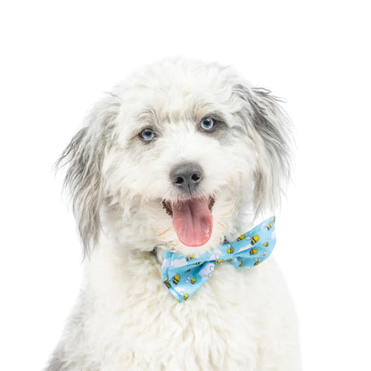 Busy Bees Bow Tie