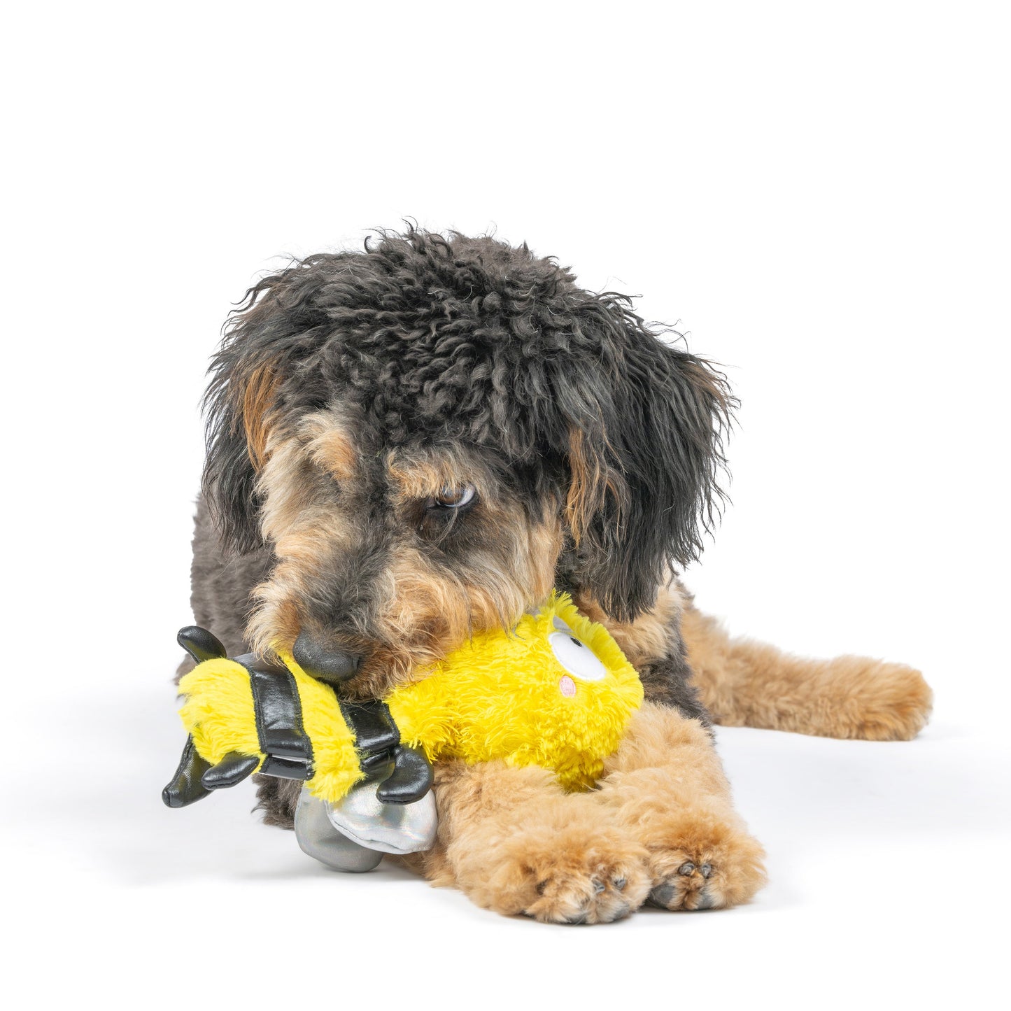 Slappies® Buzz Bee Dog Toy