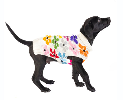 Chilly Dog Bloom sweater on a black dog