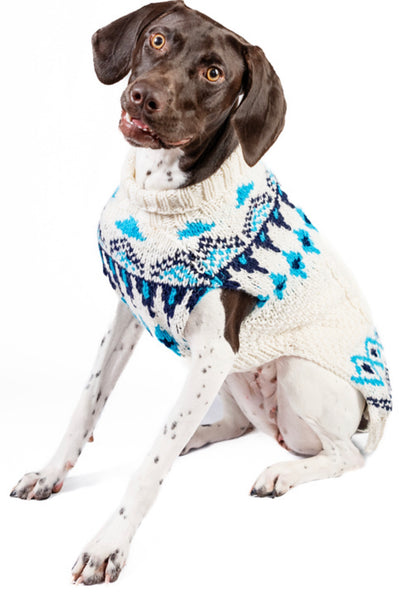 Brown and white dog wearing a white, blue, and navy patterned sweater