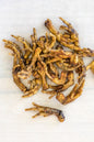 Pile of dried chicken feet on a light background