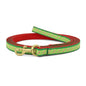Candy Cane Small Breed Dog Lead