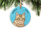 Orange Tabby Cat Ornament