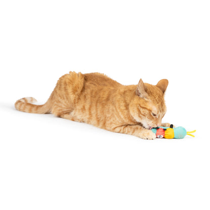 Caterpillar Cat Toy