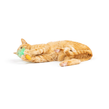 Hoppy Easter 2pk Cat Toy - 30% Off