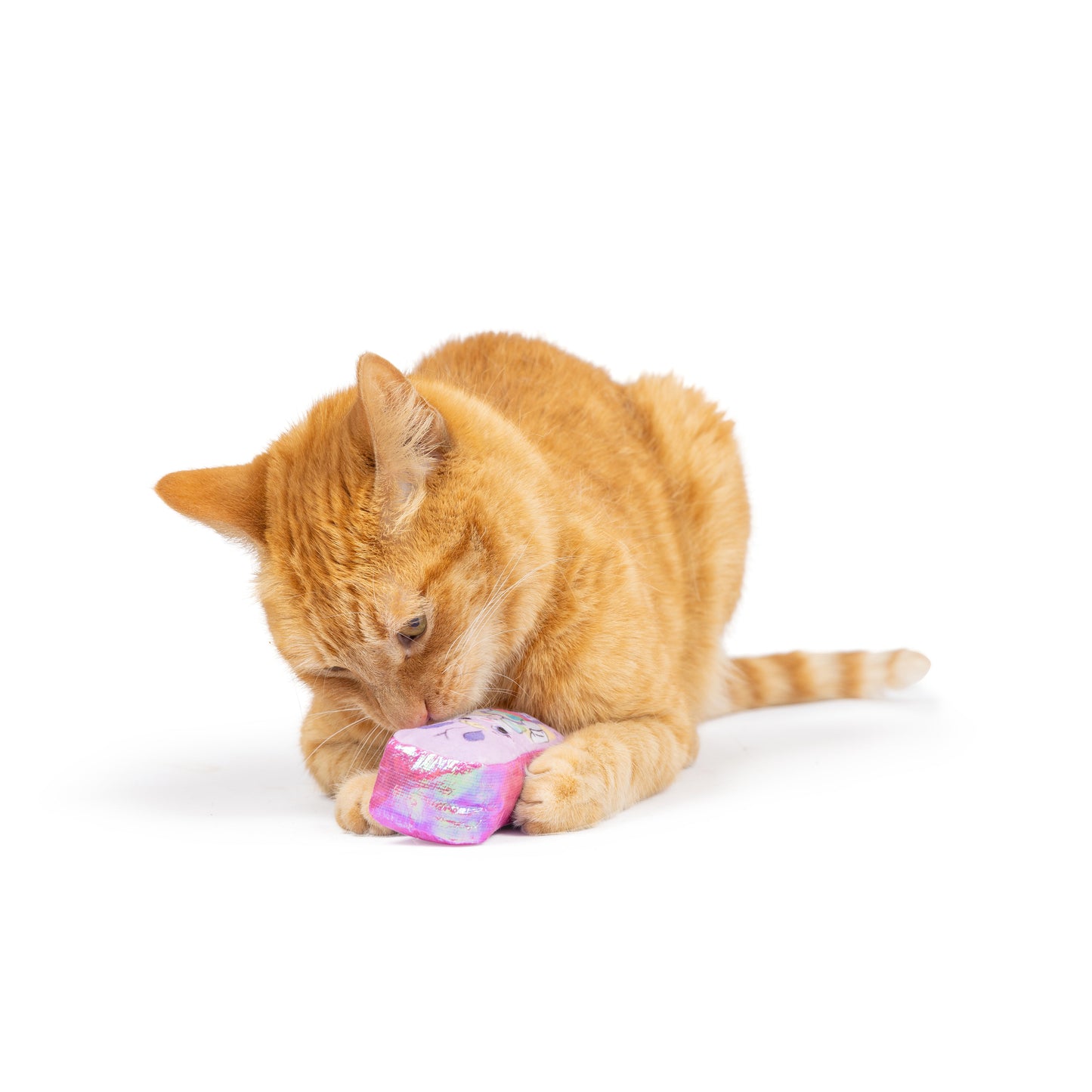 Hoppy Easter 2pk Cat Toy - 30% Off