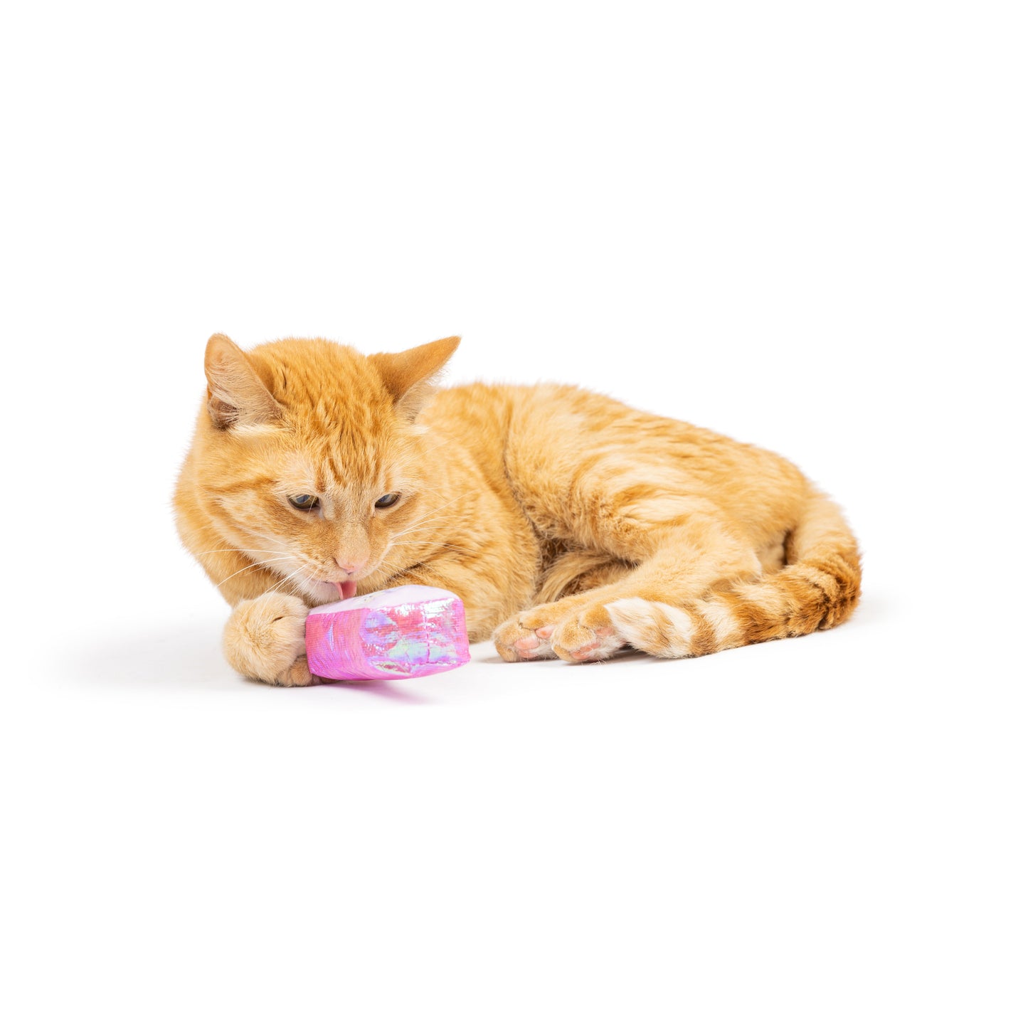 Hoppy Easter 2pk Cat Toy - 30% Off