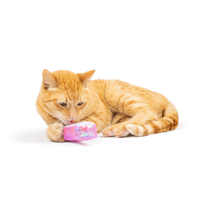 Hoppy Easter 2pk Cat Toy - 30% Off