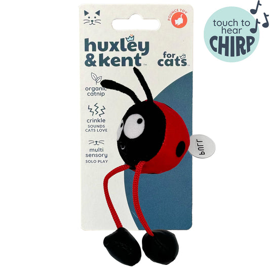 Ladybug Chirpy Cat Toy