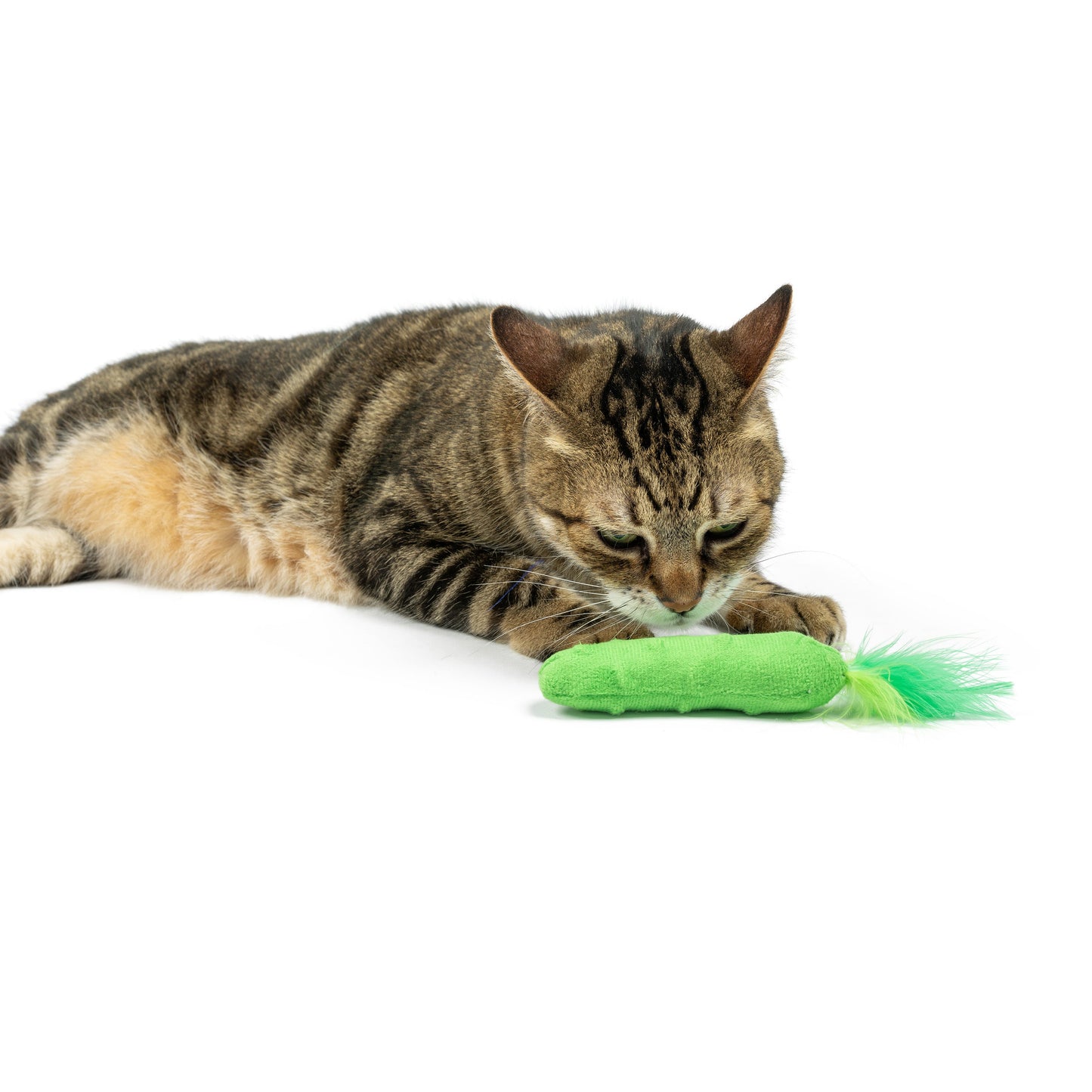 Pickle Cat Toy