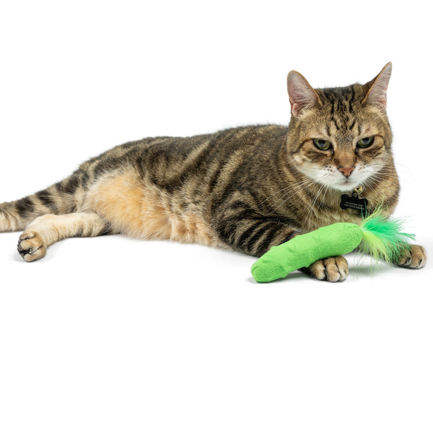 Pickle Cat Toy