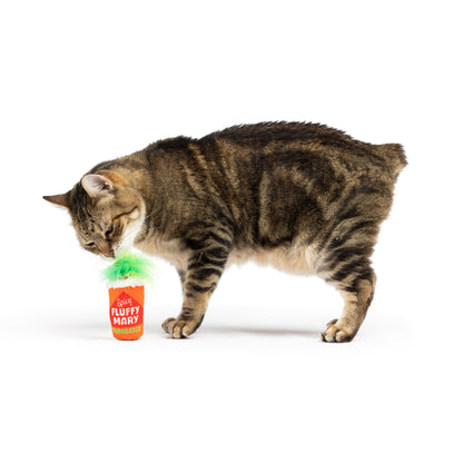 Fluffy Mary Cat Toy