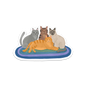 Cats on a Rug Sticker