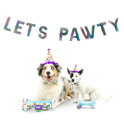 Let's Pawty Iridescent Celebration Banner
