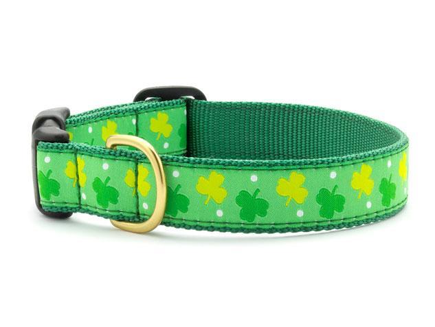Shamrock Dog Collar