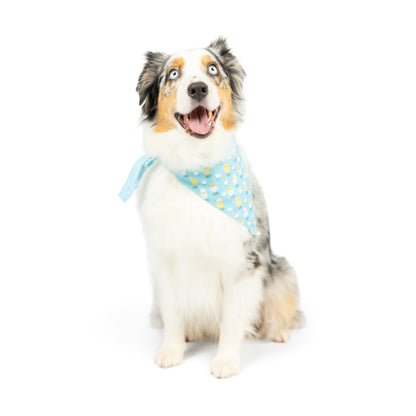 Chicks & Eggs Bandana