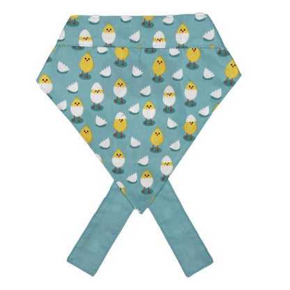 Chicks & Eggs Bandana