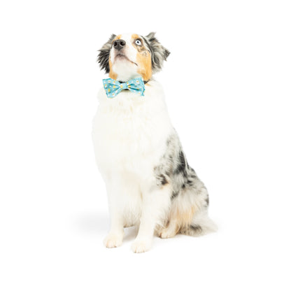 Chicks & Eggs Bow Tie
