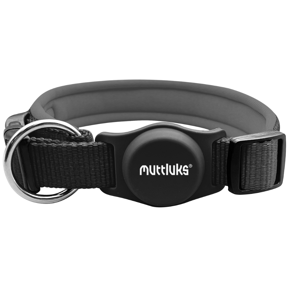 MuTTravel ComfiNek Collar with AirTag Case