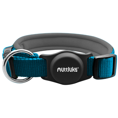 Muttluks teal dog collar with grey padding and black buckle