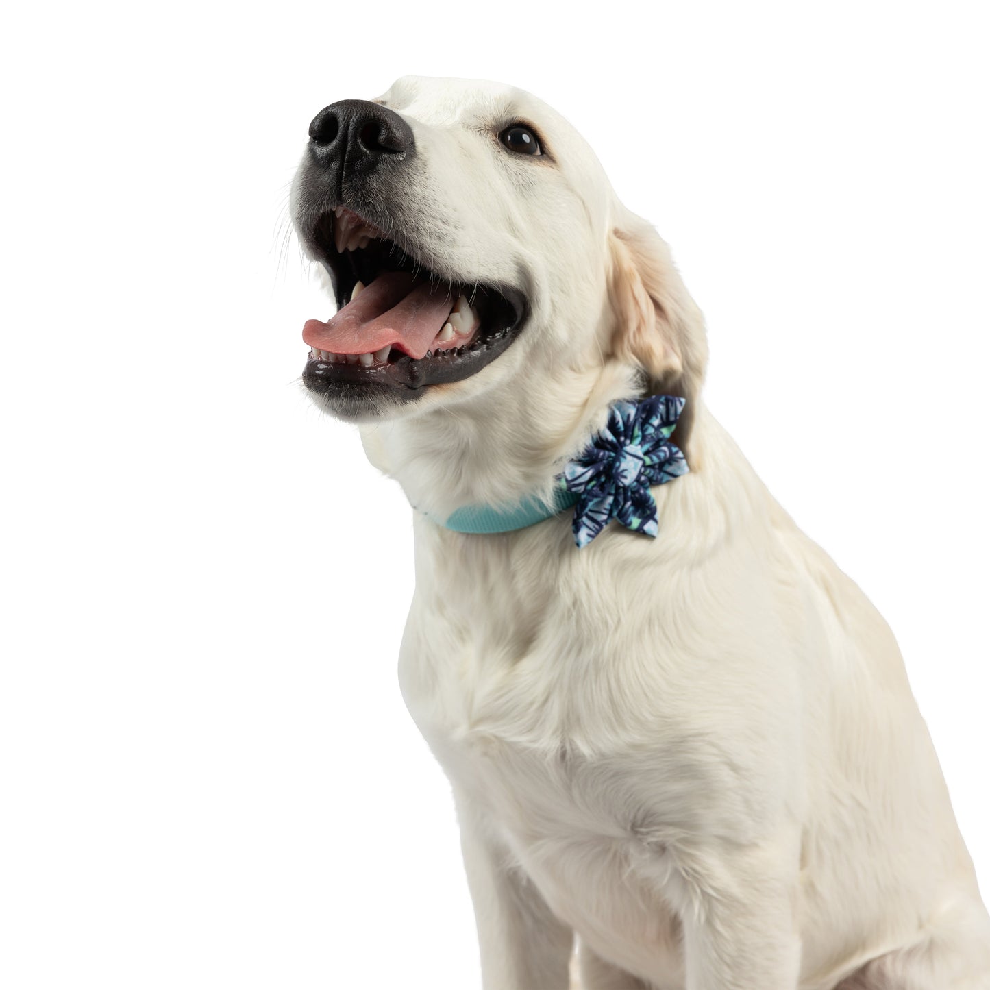 Cool Breezes Pinwheel