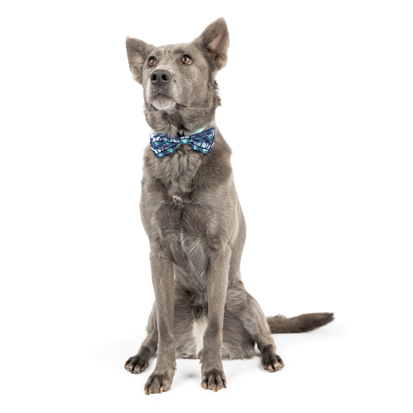 Cool Breezes Bow Tie