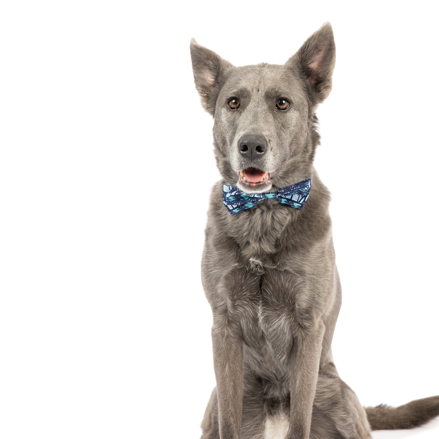 Cool Breezes Bow Tie