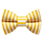 The Dolce and Cabana - Bow Tie