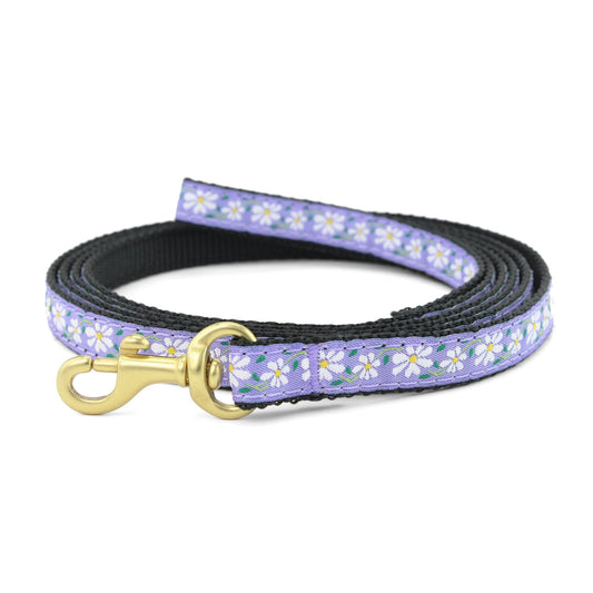 Daisy Small Breed Dog Lead
