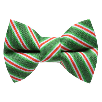 The Dasher - Bow Tie