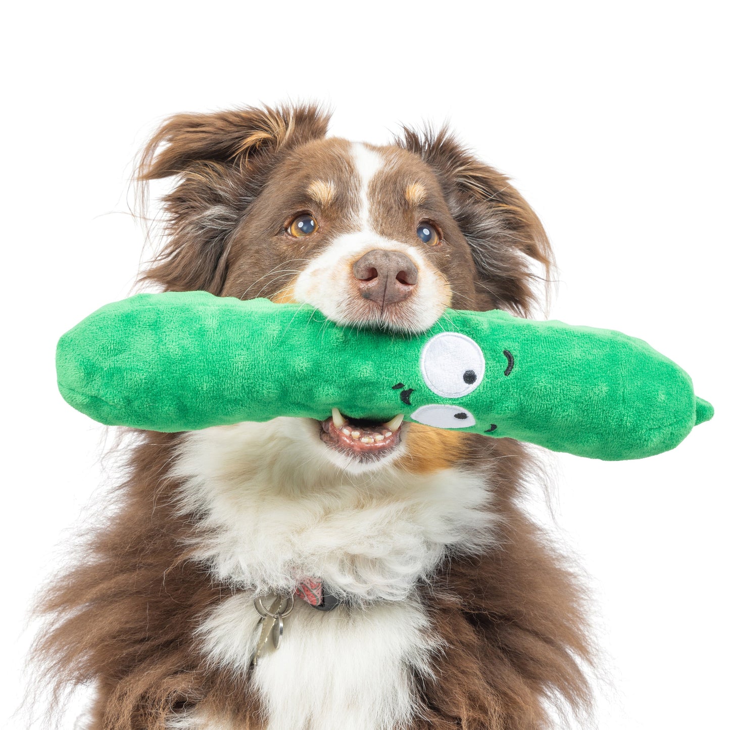 Fetchies® Dell Pickle Dog Toy