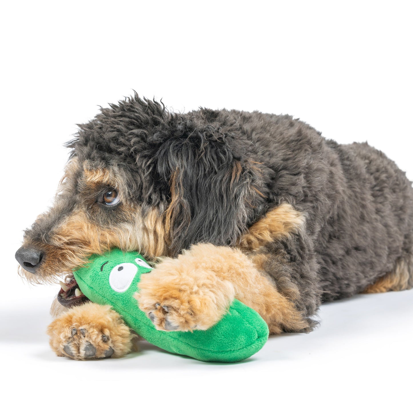 Fetchies® Dell Pickle Dog Toy
