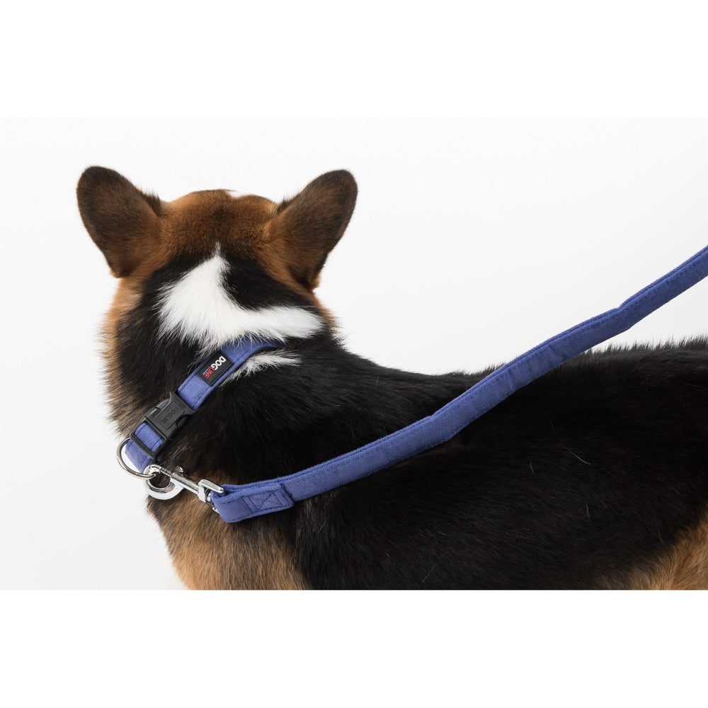 Comfort Microfiber Flat Dog Collar