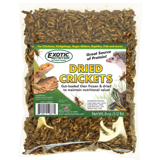 Dried Mealworm Treat 1.41 oz.