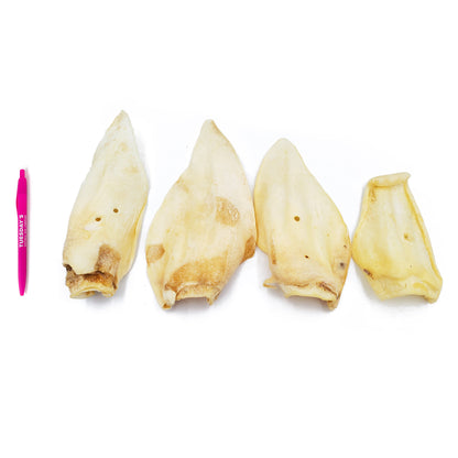 Cow Ears (Bulk) - Pack of 25