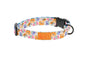 Eco Collar